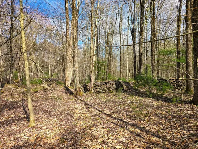 $58,000 | 0 Old State Road, Williamstown, NY 13493