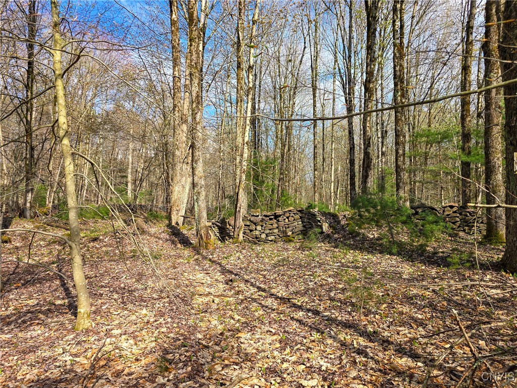 0 Old State Road Williamstown, NY 13493 - Photo 17 of 20