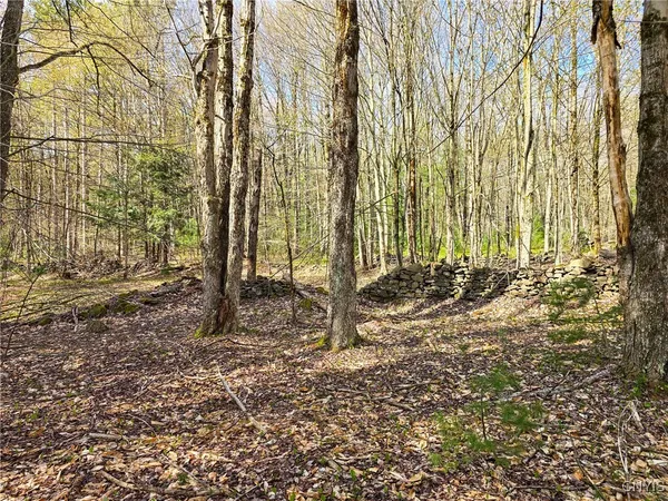$58,000 | 0 Old State Road, Williamstown, NY 13493