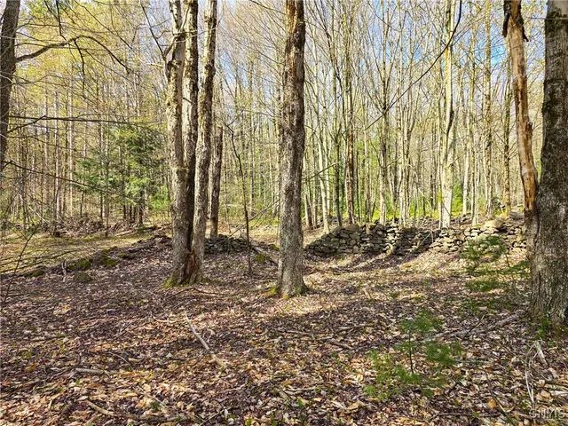 $58,000 | 0 Old State Road, Williamstown, NY 13493