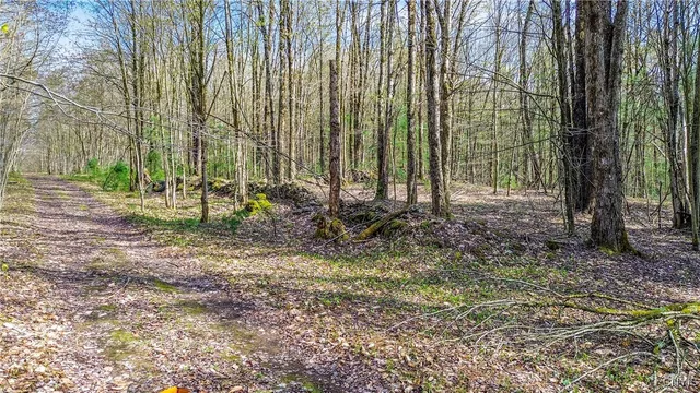 $58,000 | 0 Old State Road, Williamstown, NY 13493