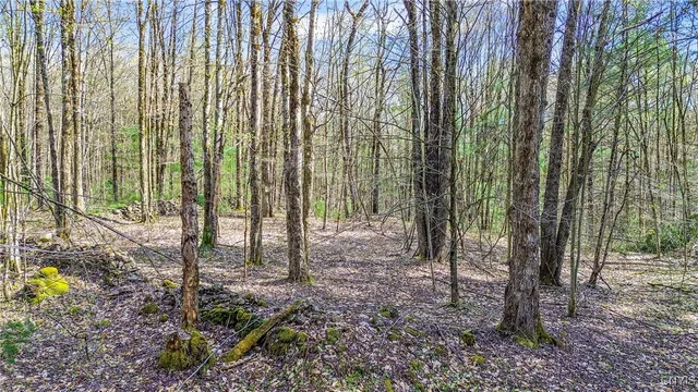 $58,000 | 0 Old State Road, Williamstown, NY 13493