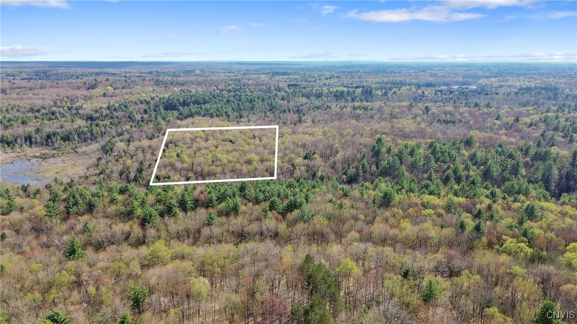 0 Old State Road Williamstown, NY 13493 - Photo 5 of 20