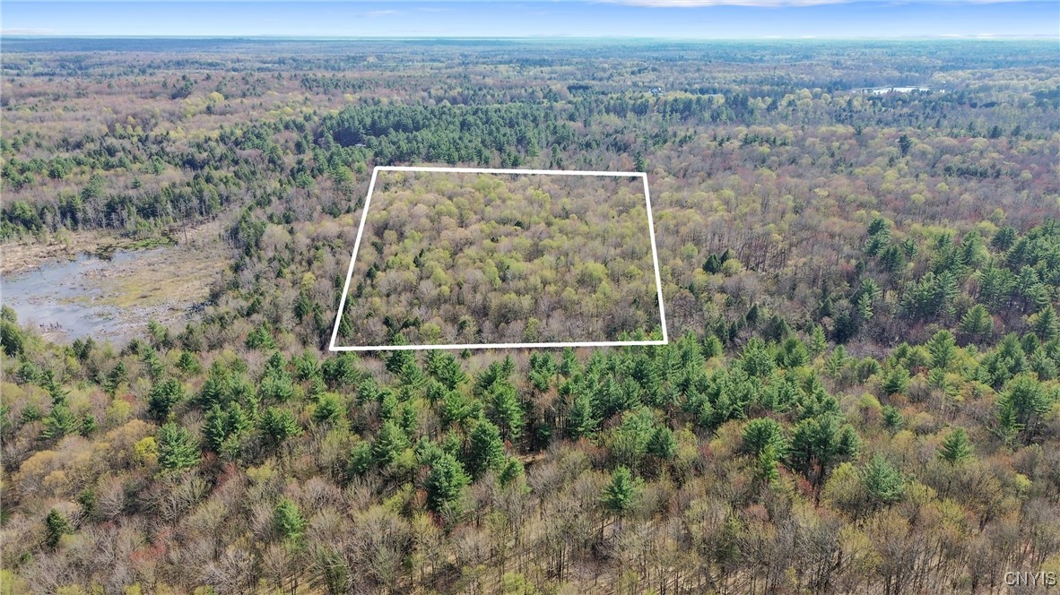 0 Old State Road Williamstown, NY 13493 - Photo 7 of 20