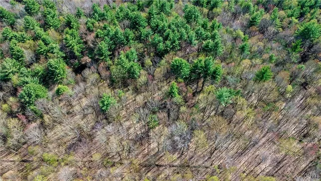 $58,000 | 0 Old State Road, Williamstown, NY 13493