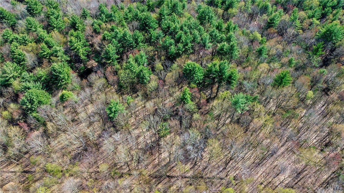 0 Old State Road Williamstown, NY 13493 - Photo 9 of 20