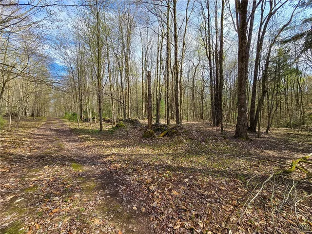 $58,000 | 0 Old State Road, Williamstown, NY 13493