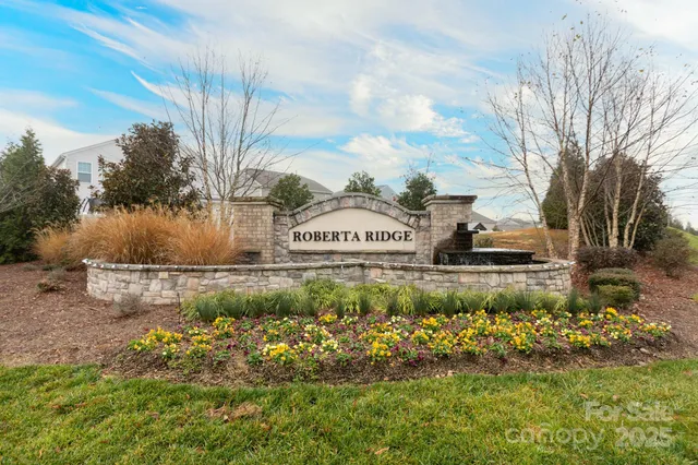 a view of a swimming pool with a yard