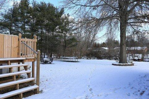 625 Squires Road Lexington, KY 40515 - Photo 25 of 26 View of back yard...you almost feel like