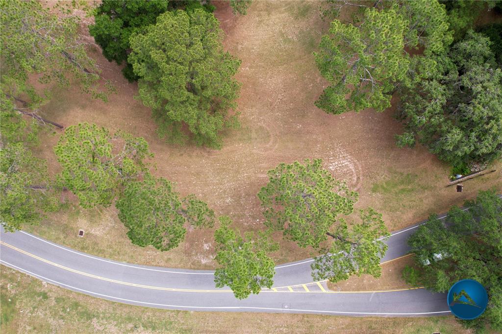 6214 Northwest 105th Avenue Alachua, FL 32615 - Photo 12 of 19 a view of a yard with plants