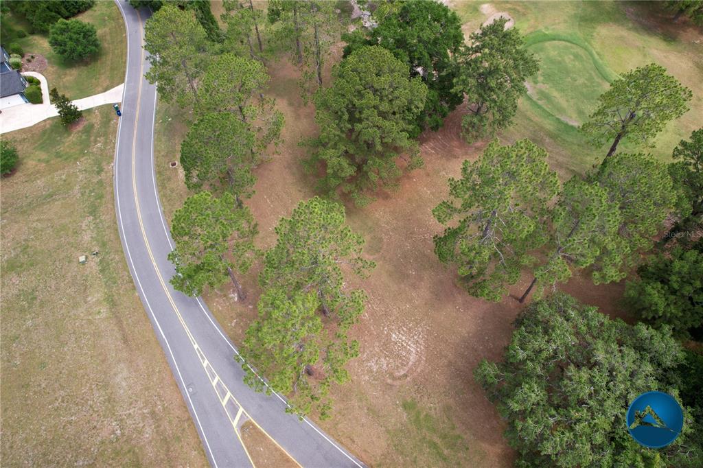 6214 Northwest 105th Avenue Alachua, FL 32615 - Photo 18 of 19 a view of a garden