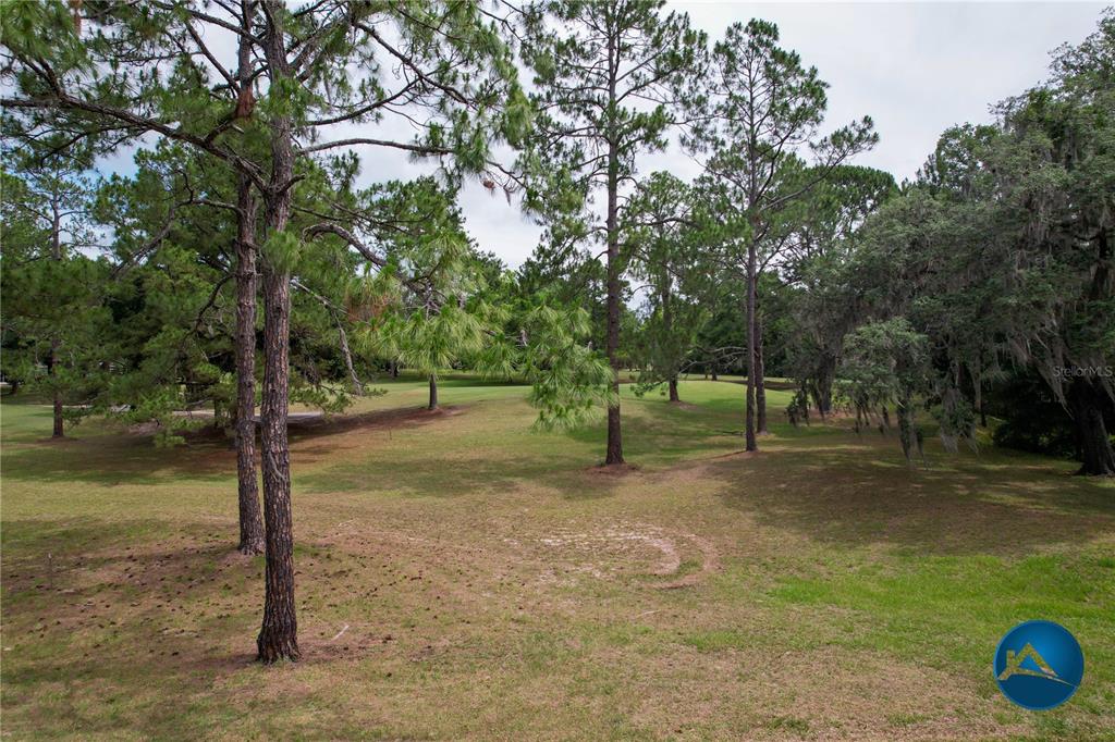 6214 Northwest 105th Avenue Alachua, FL 32615 - Photo 5 of 19 a view of a tree in a yard
