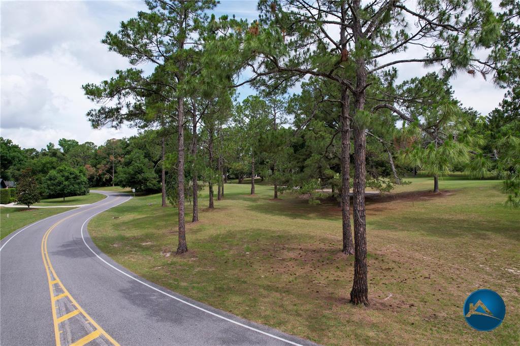 6214 Northwest 105th Avenue Alachua, FL 32615 - Photo 6 of 19 a view of a tree in a park