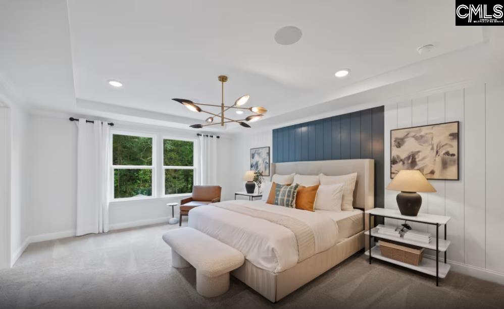 342 Mdw Rdg Road Chapin, SC 29036 - Photo 17 of 20