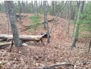 $1,150,000 | 260 Martins Road, Huguenot, NY 12746