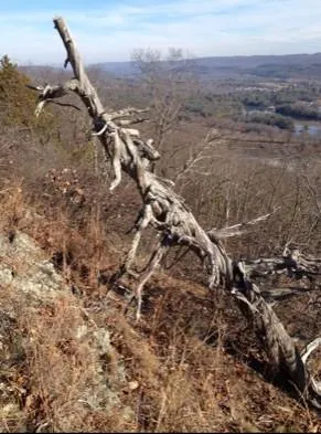 $1,150,000 | 260 Martins Road, Huguenot, NY 12746