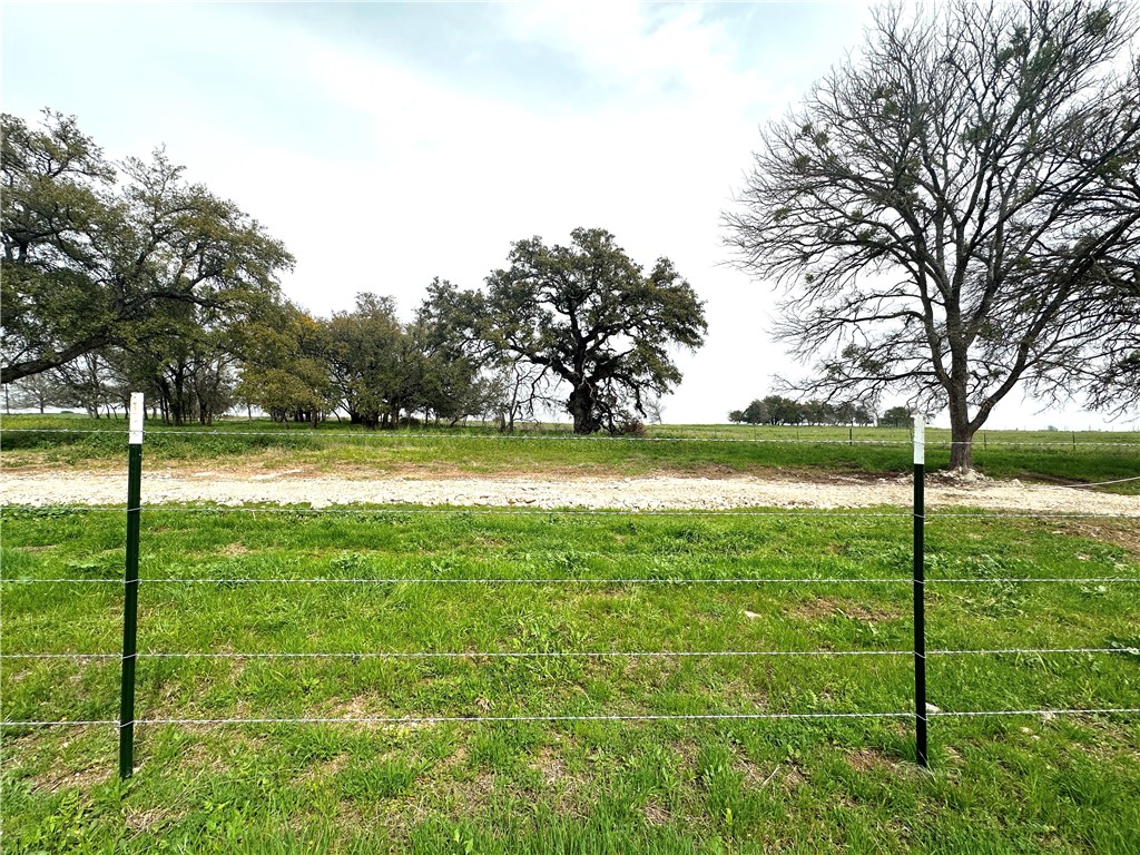 10 Cr 356 Road Gatesville, TX 76528 - Photo 4 of 10 a view of a trees with a yard