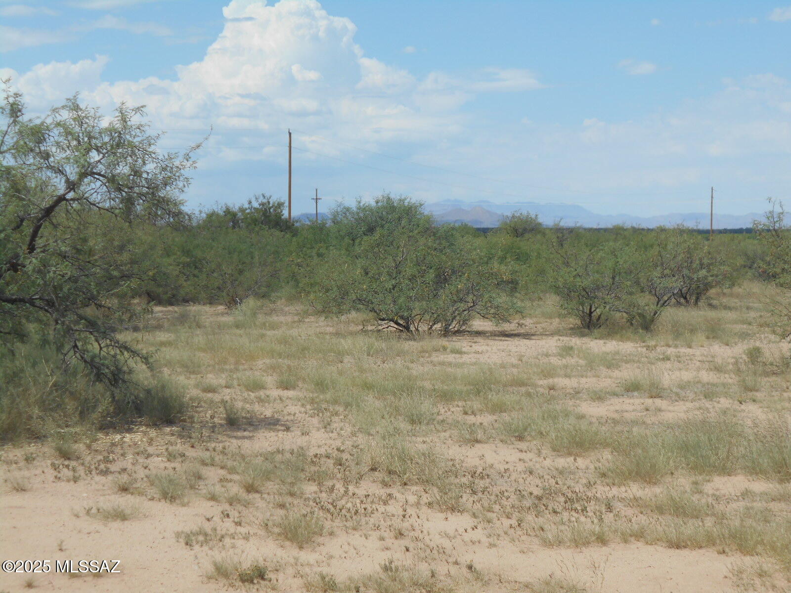 435 West Papago Way Cochise, AZ 85606 - Photo 13 of 39 DSCN5041