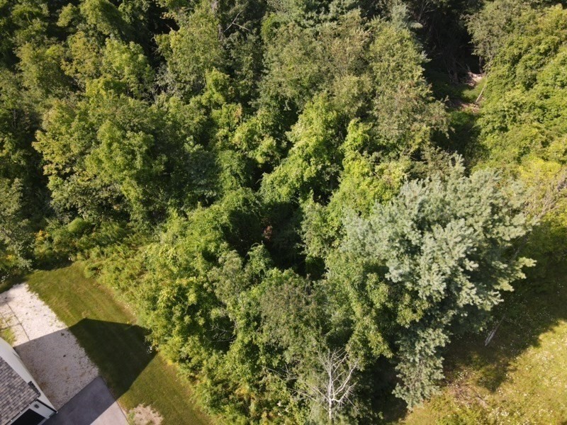 4 B Mc Carthy Road North Brookfield, MA 01535 - Photo 39 of 39 Gallery Image 39