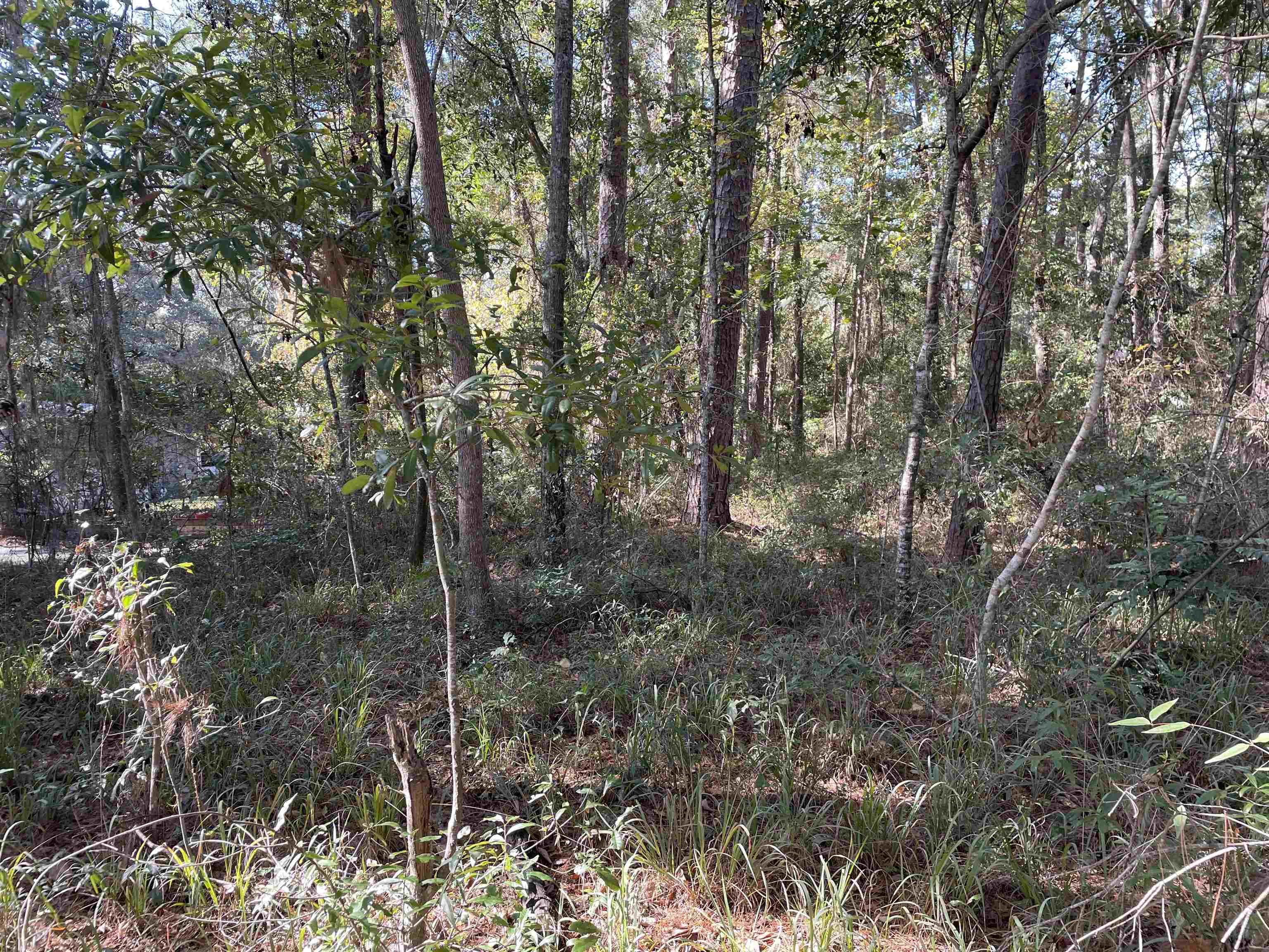 Sharer Road Tallahassee, FL 32312 - Photo 3 of 10 Gallery Image 3