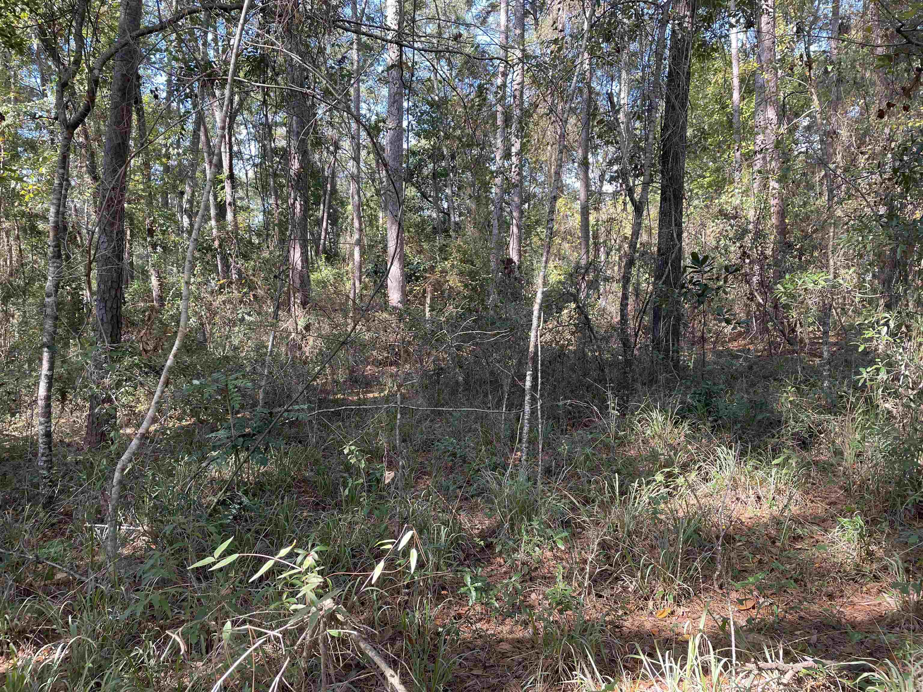 Sharer Road Tallahassee, FL 32312 - Photo 4 of 10 Gallery Image 4