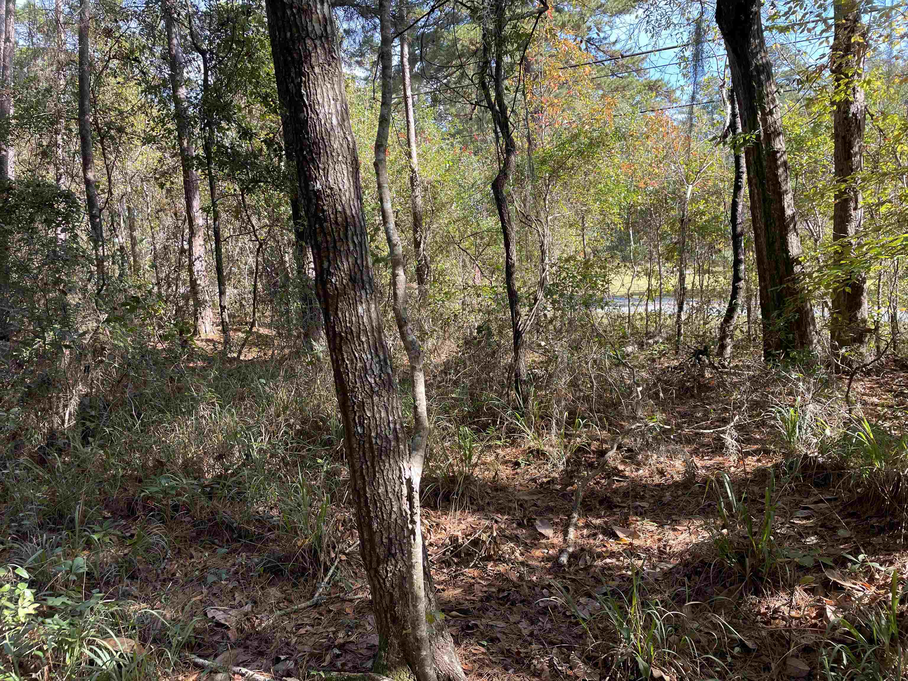 Sharer Road Tallahassee, FL 32312 - Photo 5 of 10 Gallery Image 5