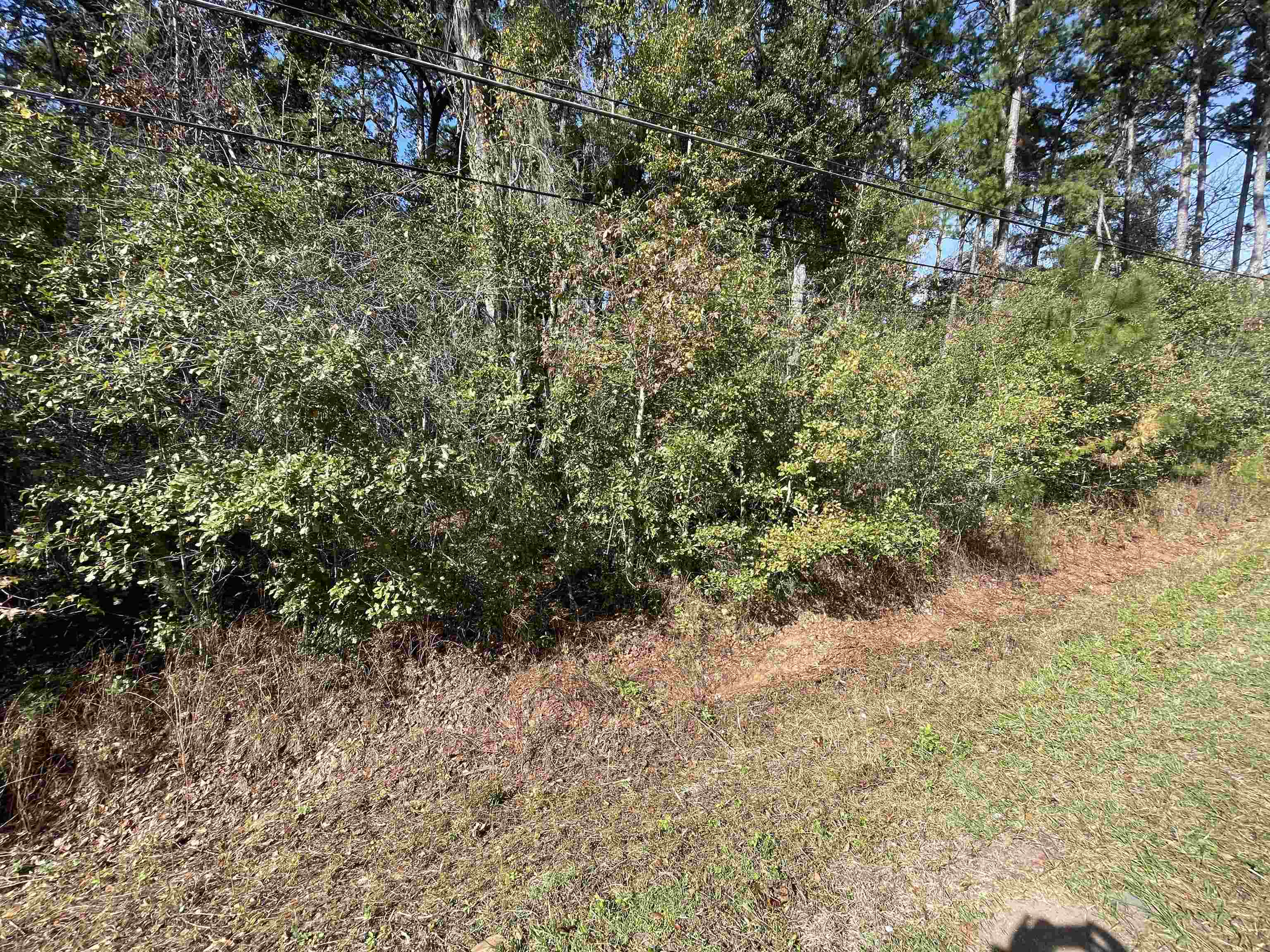 Sharer Road Tallahassee, FL 32312 - Photo 10 of 10 Gallery Image 10