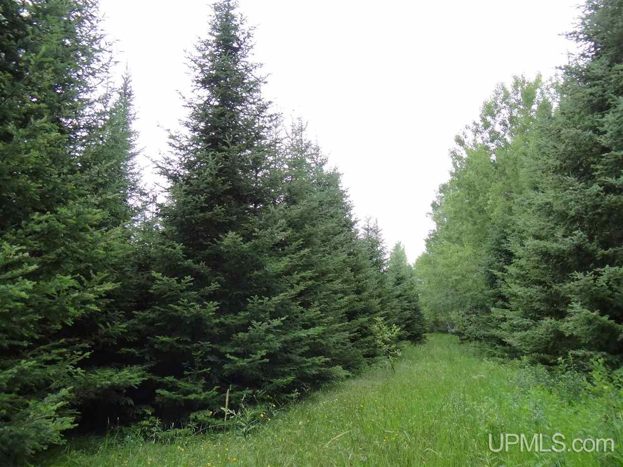 Tbd Pelto Road Baraga, MI 49908 - Photo 4 of 15 Gallery Image 4
