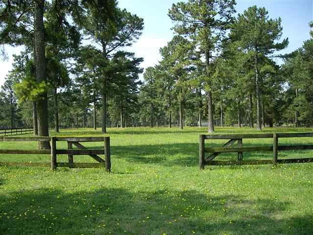 2978 Camp Easter Road Southern Pines, NC 28387 - Photo 3 of 9 Additional Photo