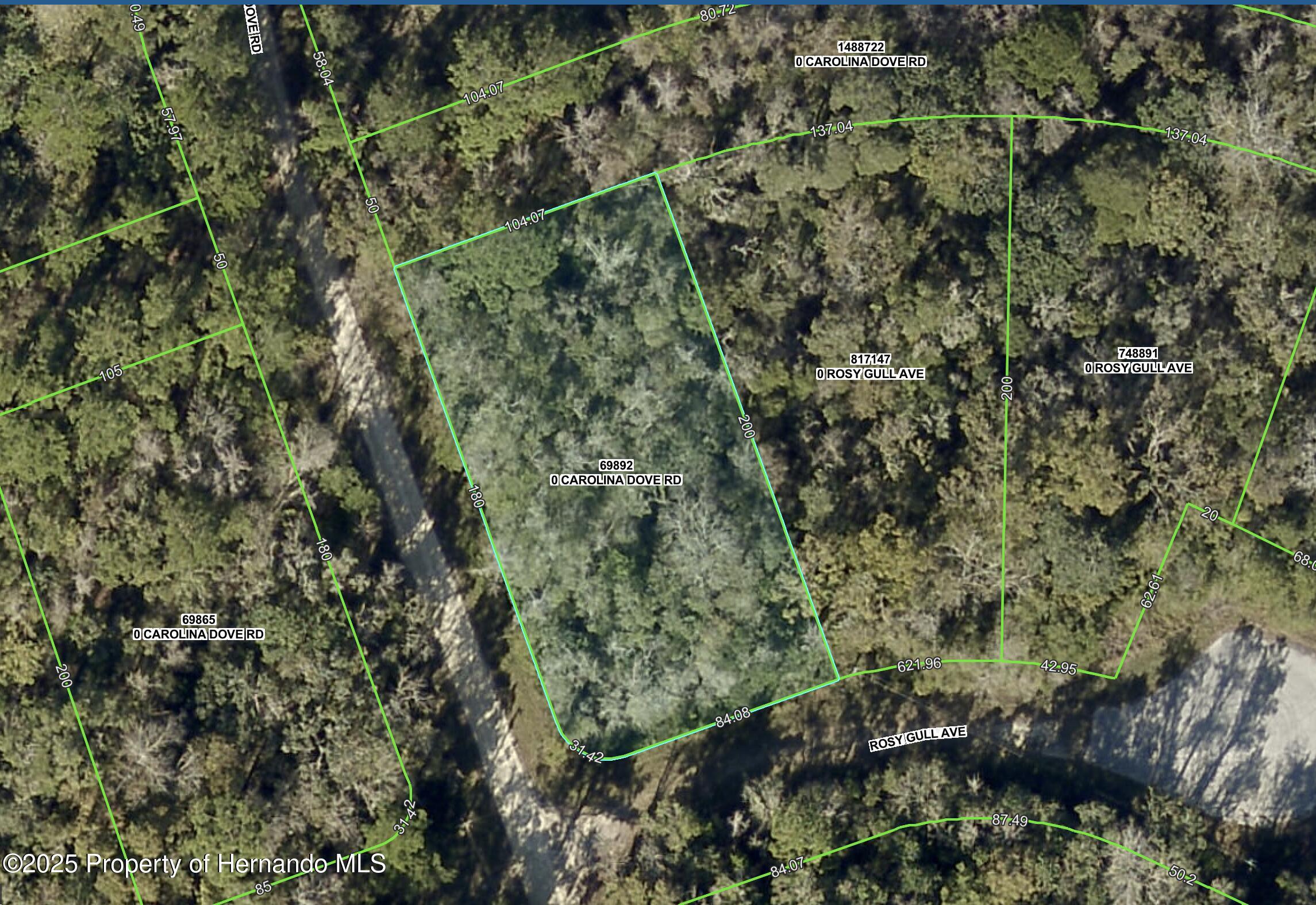 Lot 1 Carolina Dove Road Weeki Wachee, FL 34614 - Photo 1 of 6