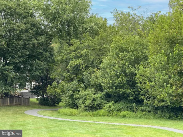 a view of a yard with a swimming pool