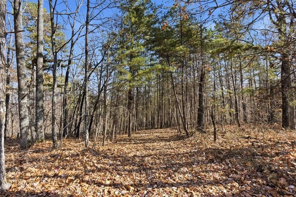 1166 Hunter Drive Ranger, GA 30734 - Photo 11 of 43 a view of wooden fence of a house