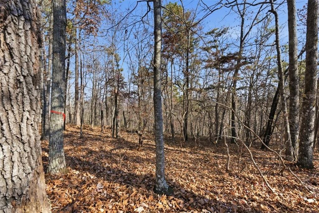 1166 Hunter Drive Ranger, GA 30734 - Photo 12 of 43 a backyard of a house with lots of green space