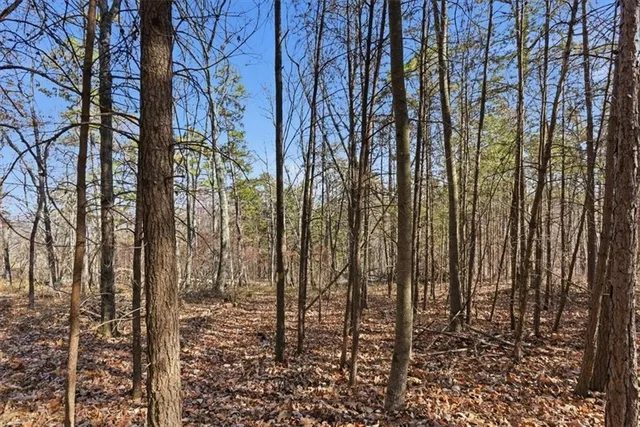 a view of outdoor space