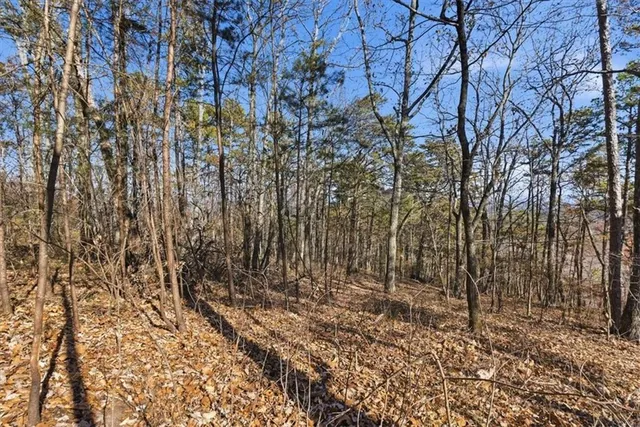a view of wooden fence