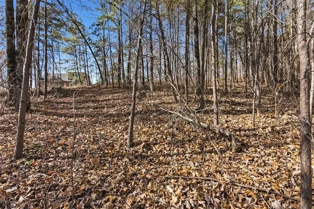 a view of covered with green space