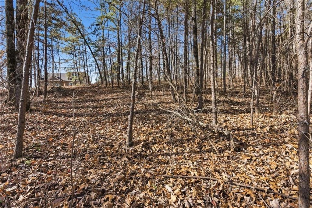 1166 Hunter Drive Ranger, GA 30734 - Photo 15 of 43 a view of covered with green space