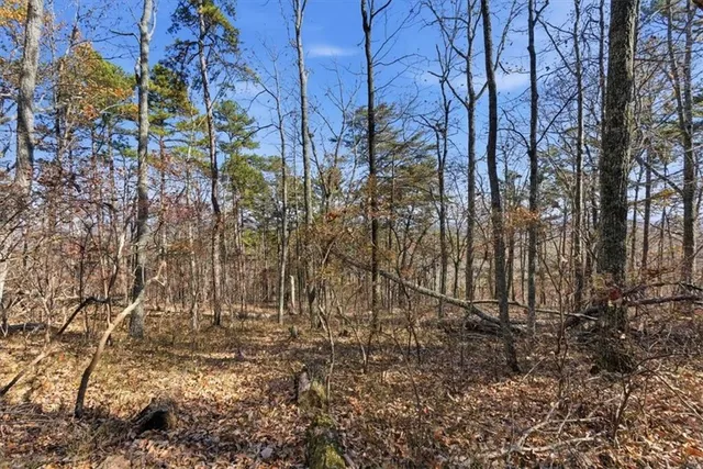 a view of backyard of the house