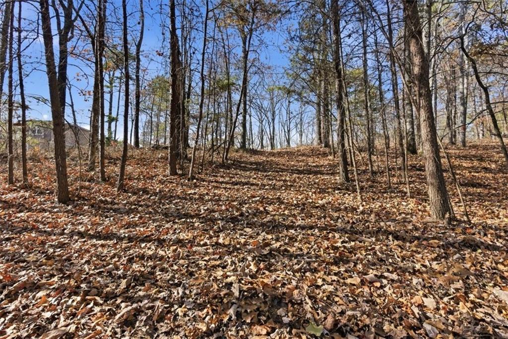 1166 Hunter Drive Ranger, GA 30734 - Photo 18 of 43 a backyard of a house with lots of green space