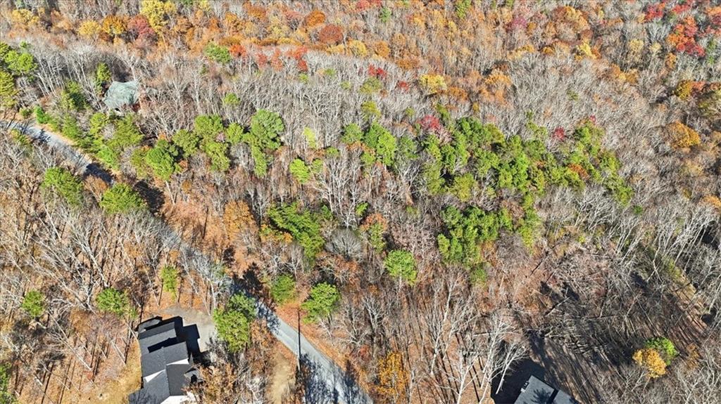 1166 Hunter Drive Ranger, GA 30734 - Photo 20 of 43 a backyard of a house with lots of green space