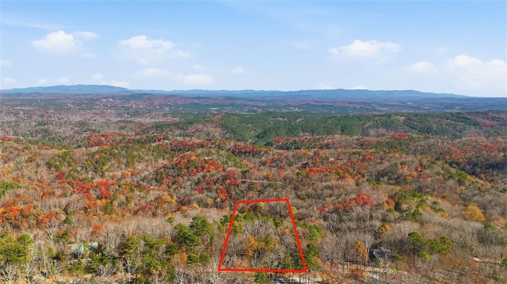1166 Hunter Drive Ranger, GA 30734 - Photo 2 of 43 a view of a city with lush green forest