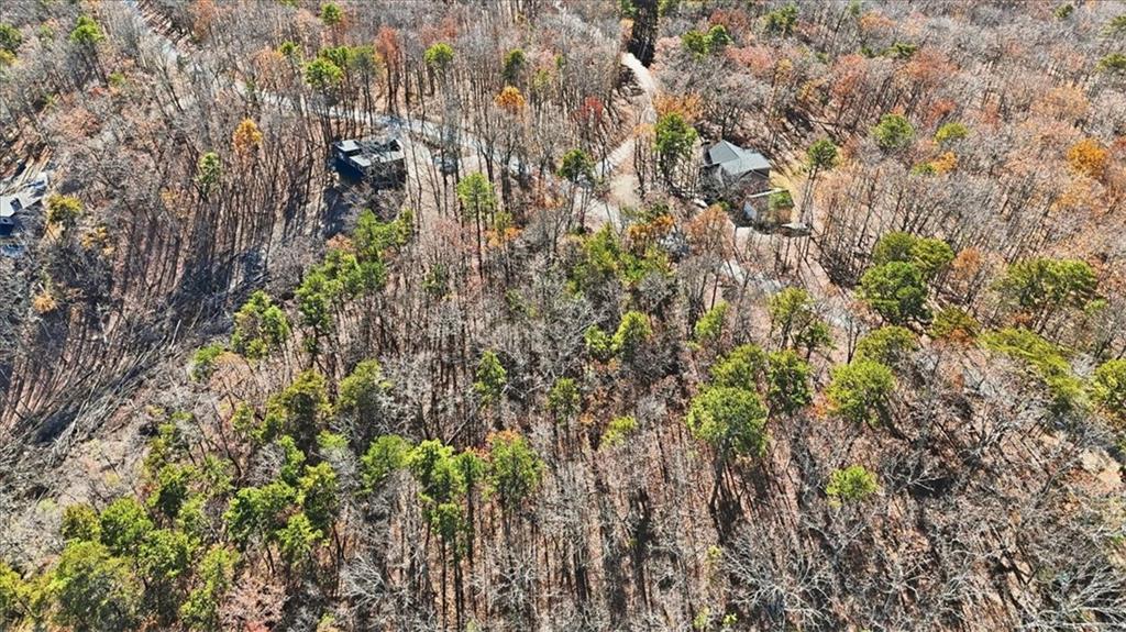 1166 Hunter Drive Ranger, GA 30734 - Photo 22 of 43 a view of a house with a lush green forest