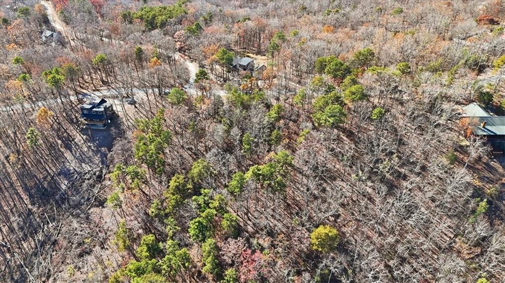 1166 Hunter Drive Ranger, GA 30734 - Photo 23 of 43 a view of a plant in a garden