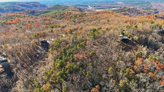 a view of a city with lush green forest