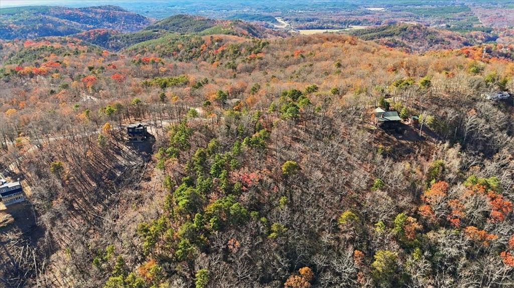 1166 Hunter Drive Ranger, GA 30734 - Photo 24 of 43 an aerial view of residential house and with trees
