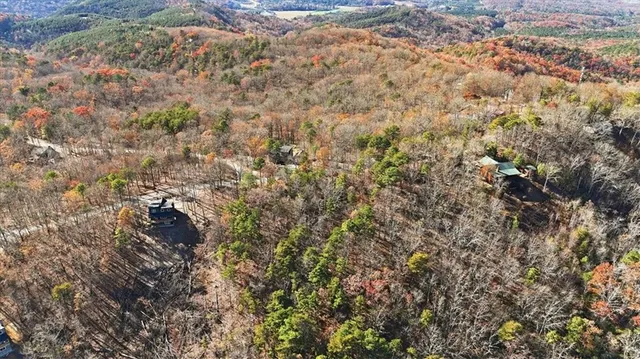 an aerial view of residential house and green space