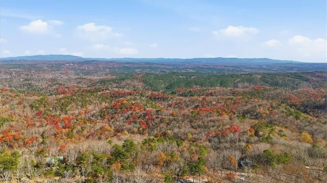 a view of a city with mountains in the background