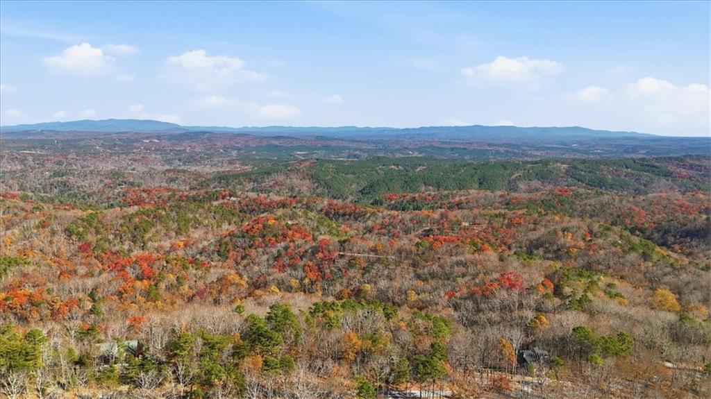 1166 Hunter Drive Ranger, GA 30734 - Photo 26 of 43 a view of a city with lush green forest