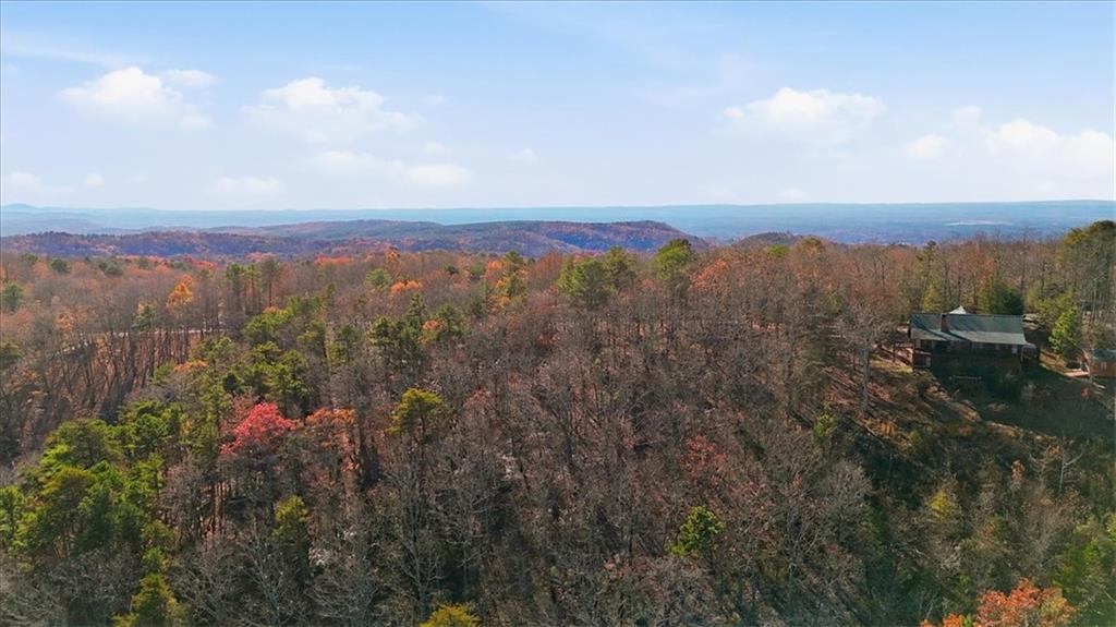 1166 Hunter Drive Ranger, GA 30734 - Photo 28 of 43 a view of a city with mountains in the background