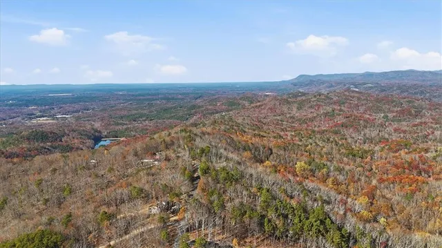 a view of a bench in a garden